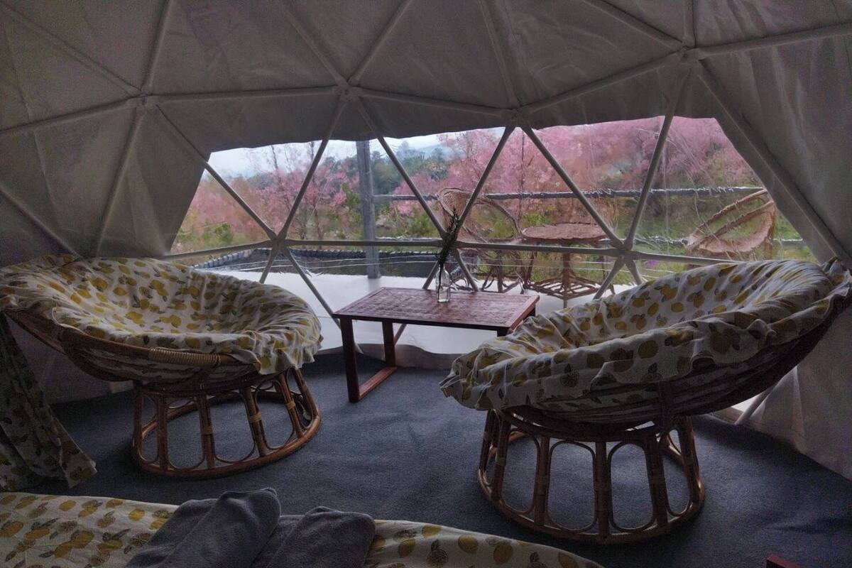 A tent with two wicker chairs, a small table, and a view of trees through large windows.