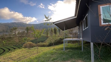 Family House, 2 Queen Beds, Non Smoking, Garden View | Terrace/patio