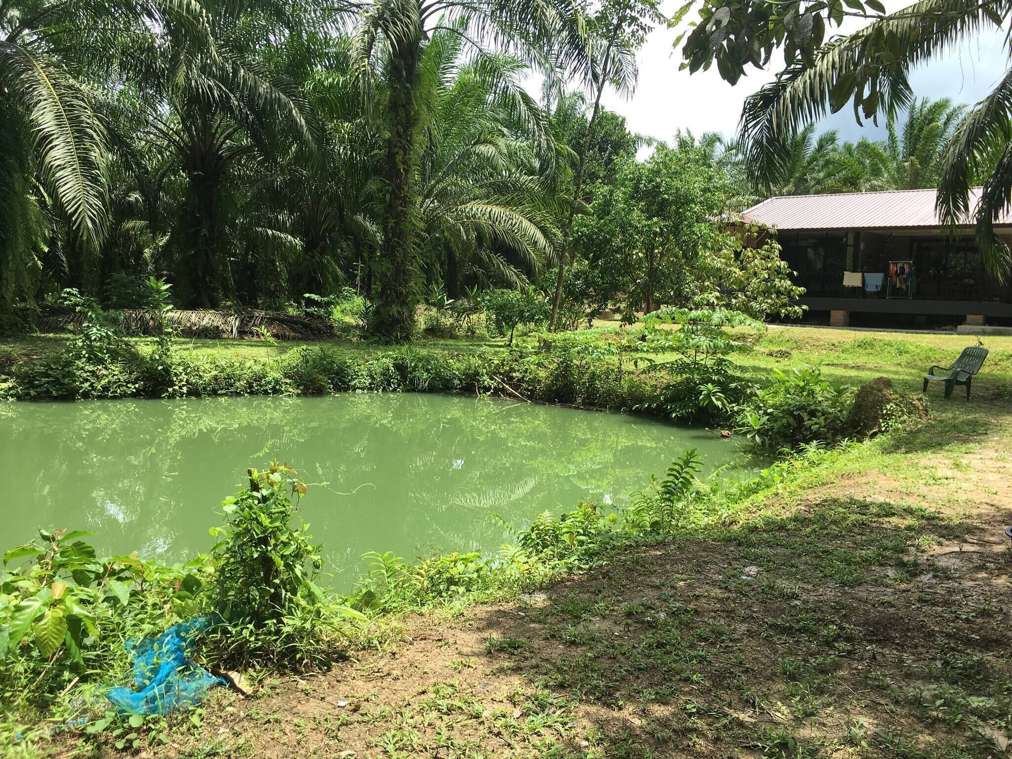 Overnatningsstedets område