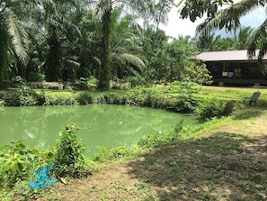 Property grounds - Peaceful house surrounding by nature (Aoluke)