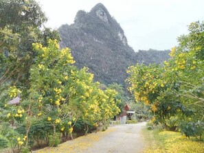 المنطقة المحيطة بالمنشأة