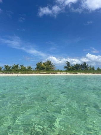 Beach. Gîte Mango-Passion Le Domaine Mannou