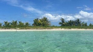 On peut admirer une plage aux eaux turquoise, bordée de palmiers et d’un rivage sablonneux, le tout sous un ciel bleu.