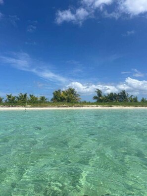 A clear view of a beach with turquoise water, palm trees, and a sandy shore under a blue sky. - Gîte Mango-Passion Le Domaine Mannou (Sainte Rose)
