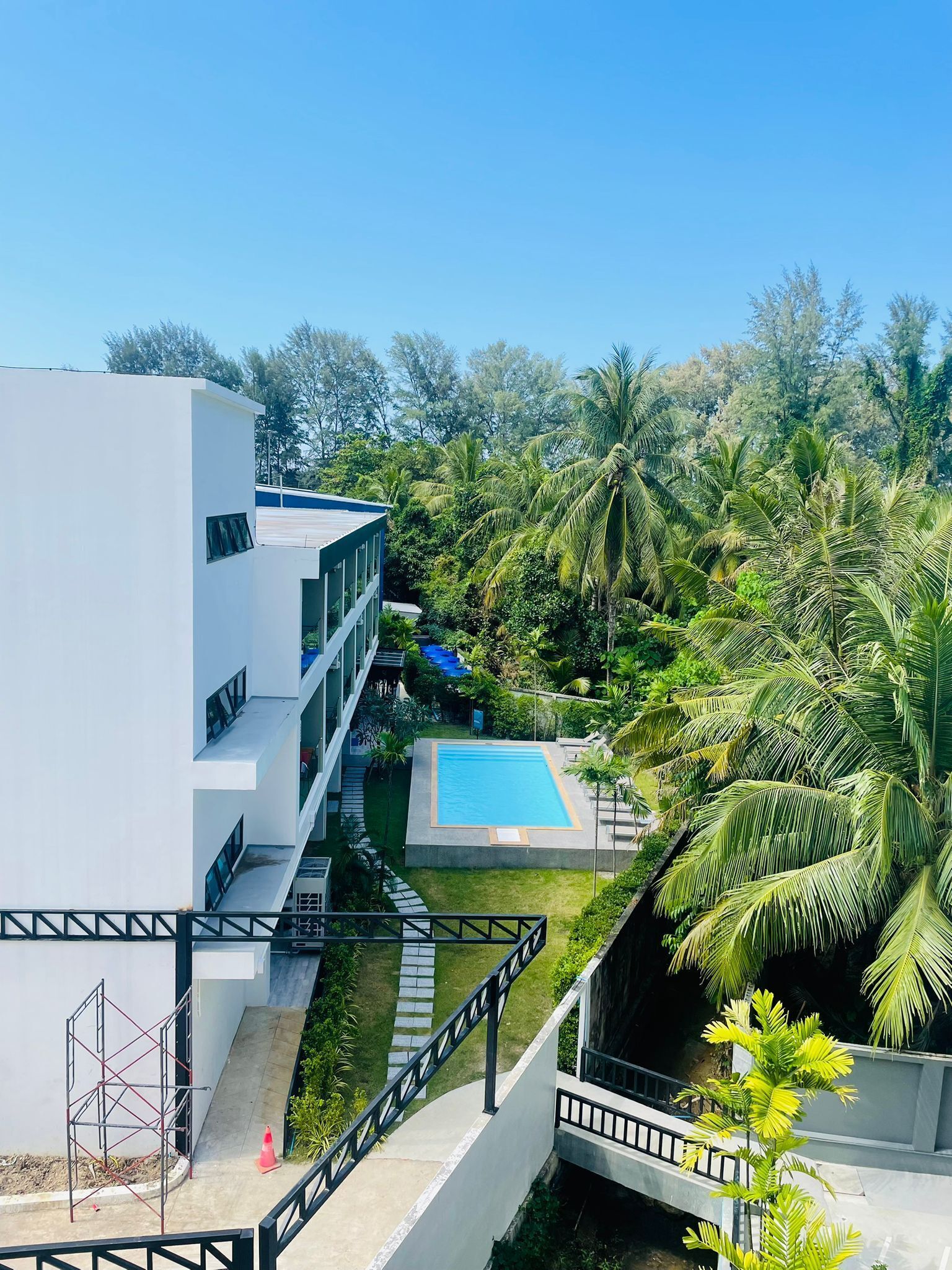A modern hotel with a pool surrounded by lush greenery and palm trees.