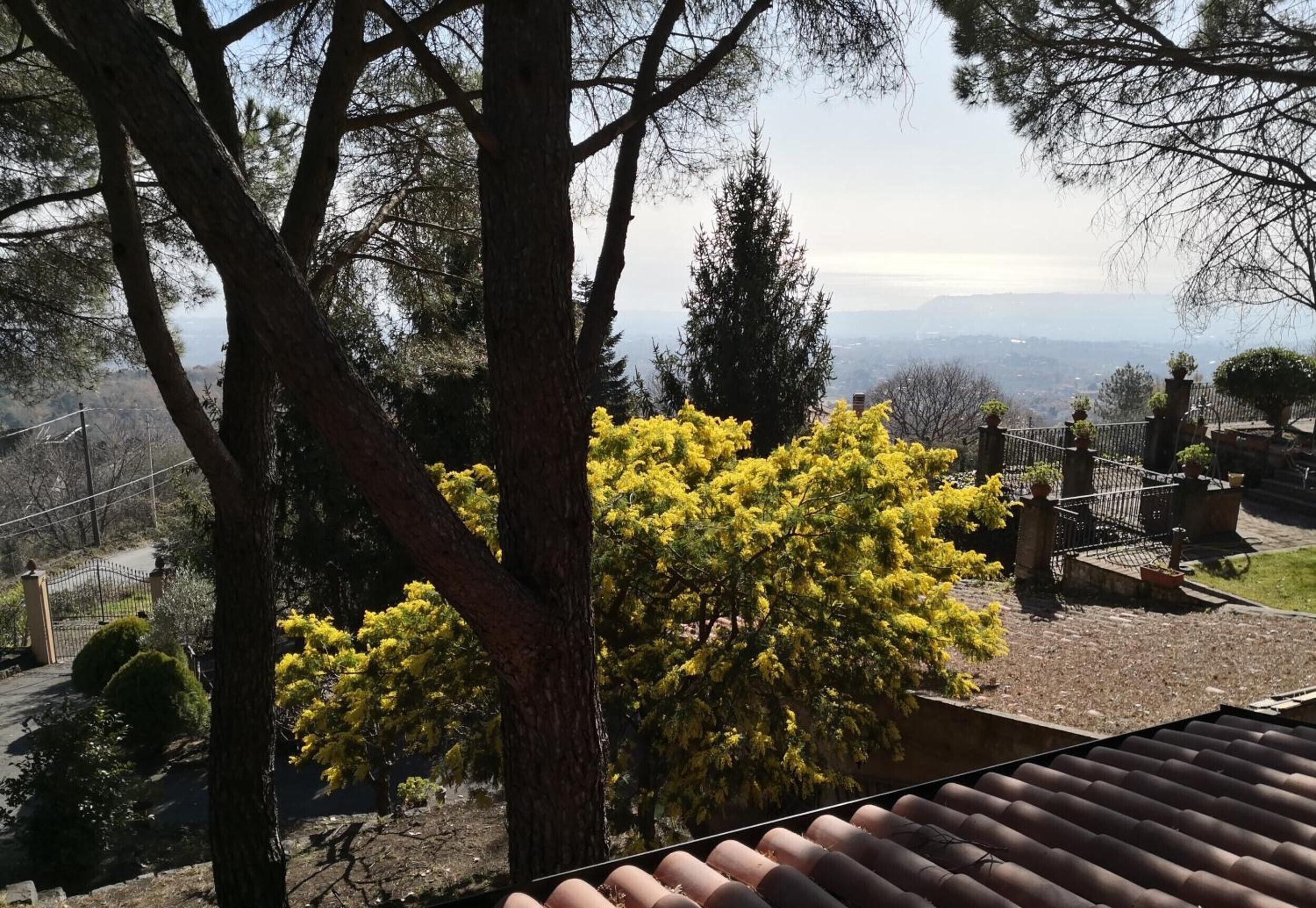 Parco della struttura