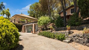 A house with a stone wall, a paved driveway, and a garden with various plants.