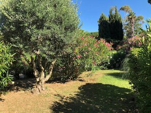 Áreas de la propiedad