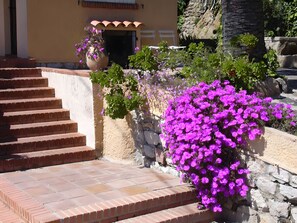 المنطقة المحيطة بالمنشأة