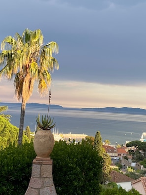 A coastal view with a palm tree, a large planter with an aloe plant, and a distant shoreline. - Bed and Breakfast 'Chambre Canisses' with Sea View, Shared Pool and Wi-Fi (Le Lavandou)