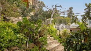 Un jardin avec différentes sortes de plantes et un mur en pierre.