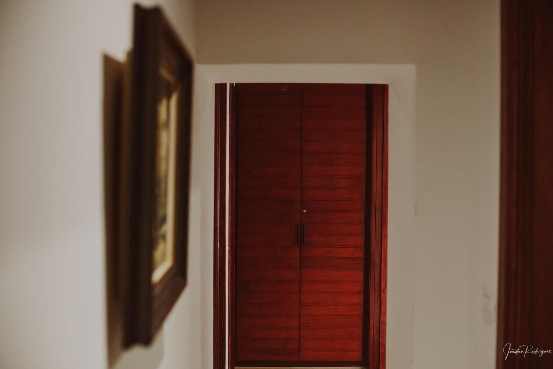 Un pasillo con una puerta de madera y un cuadro en la pared.