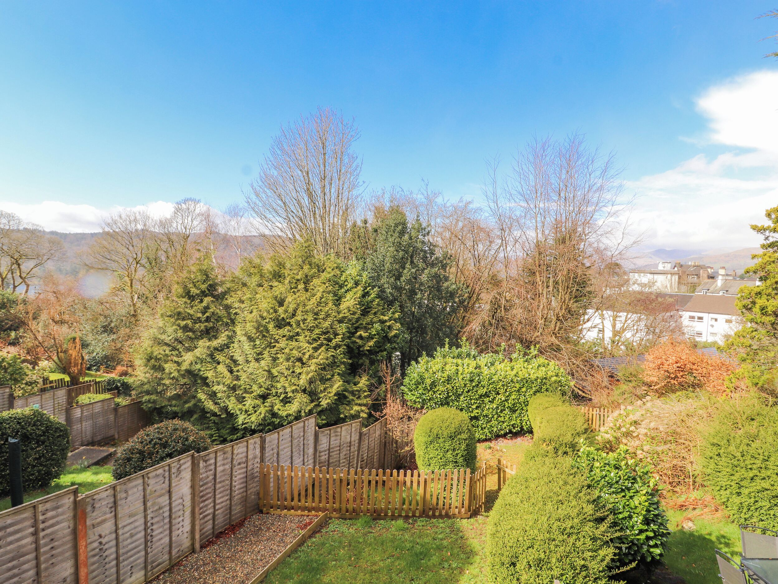 A garden with a wooden fence, various shrubs, and trees.