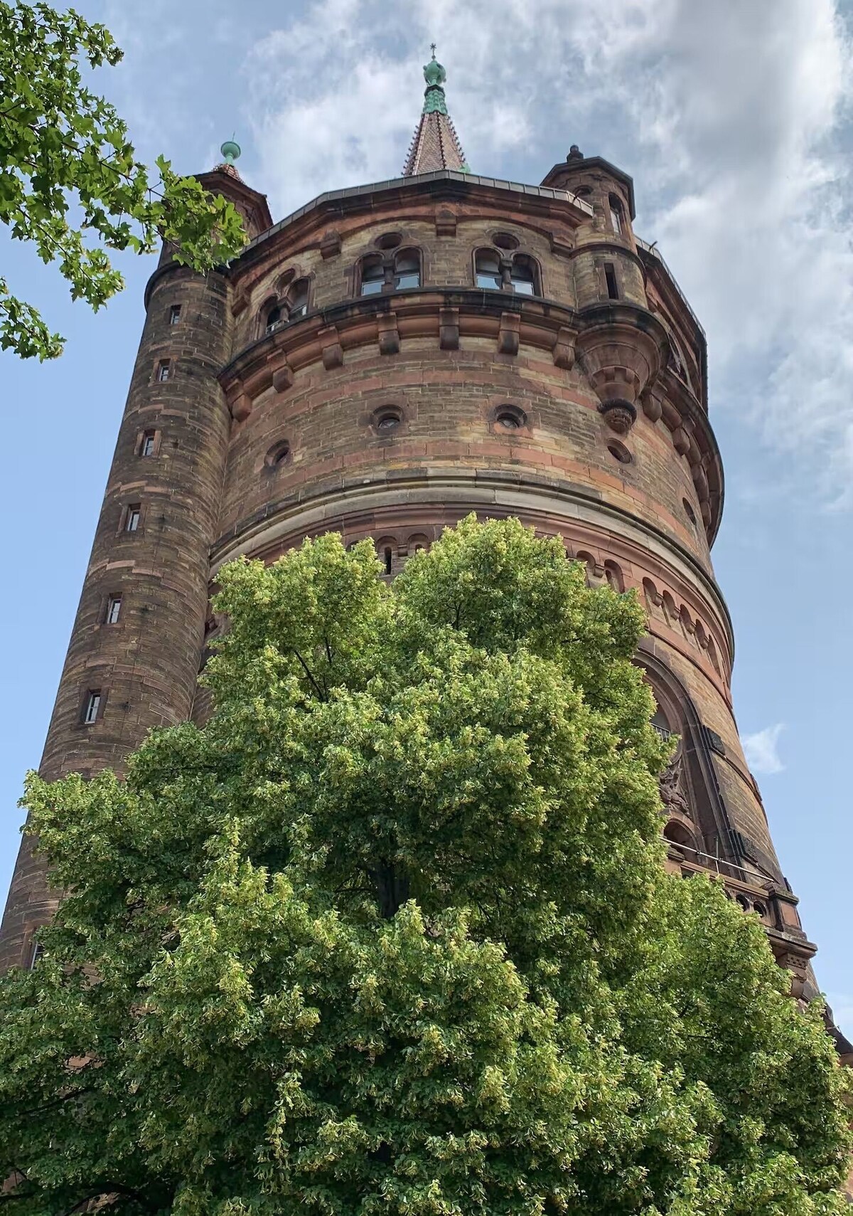 Image de profil de l’hôte