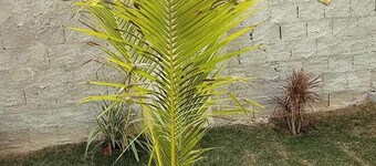 Esmeraldas Garden Site, a peaceful place with a wonderful view and a swimming pool.