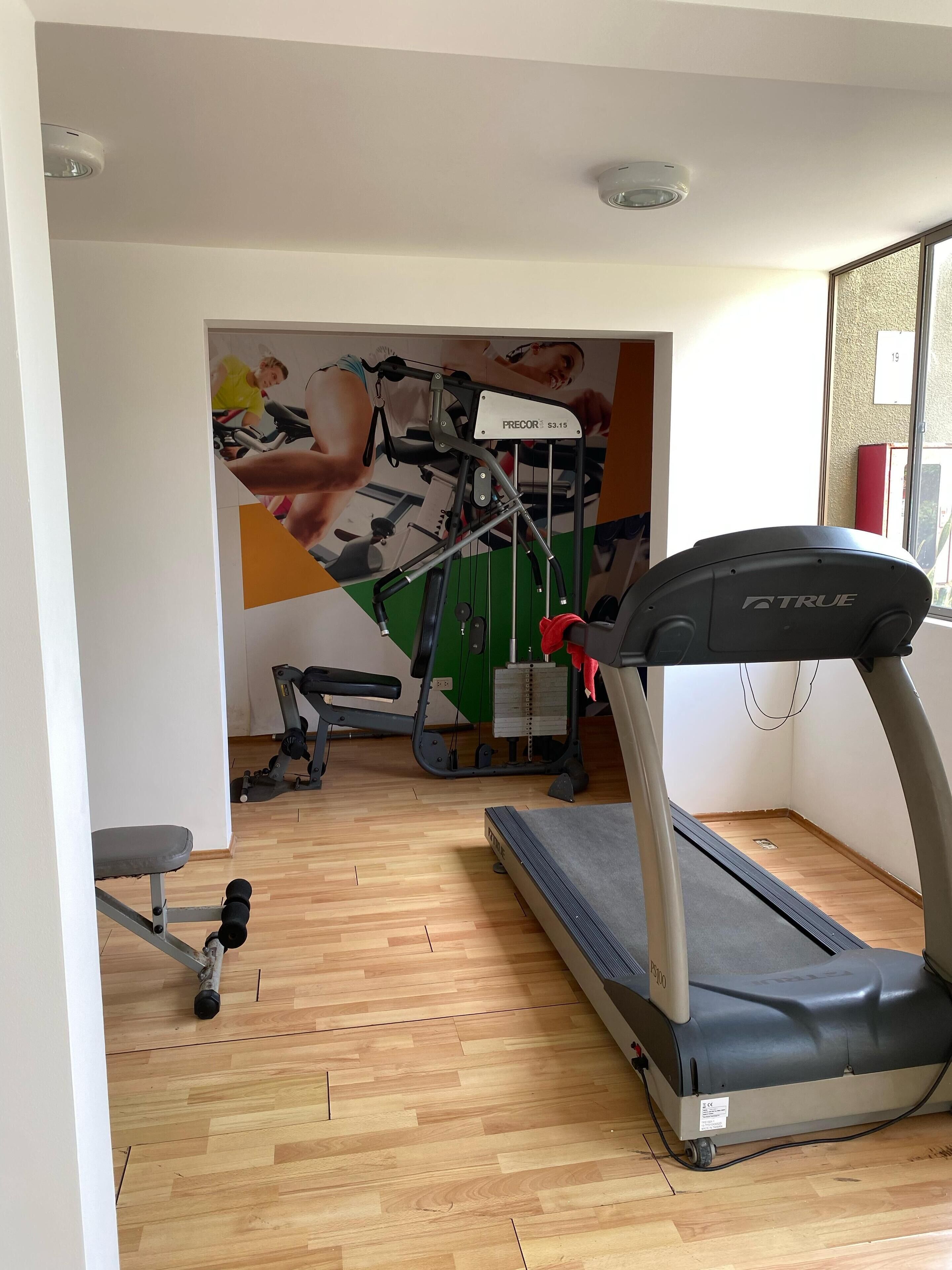 A gym with a treadmill, exercise bike, and weights.