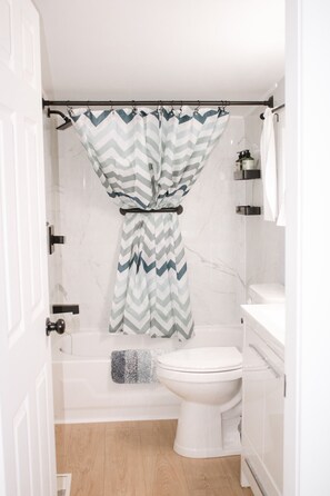 Hair dryer, towels, shampoo, toilet paper