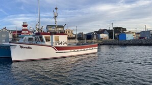 Una embarcació blanca anomenada 'Noralia' amb el número 175494, amarrada en un port amb edificis al fons.