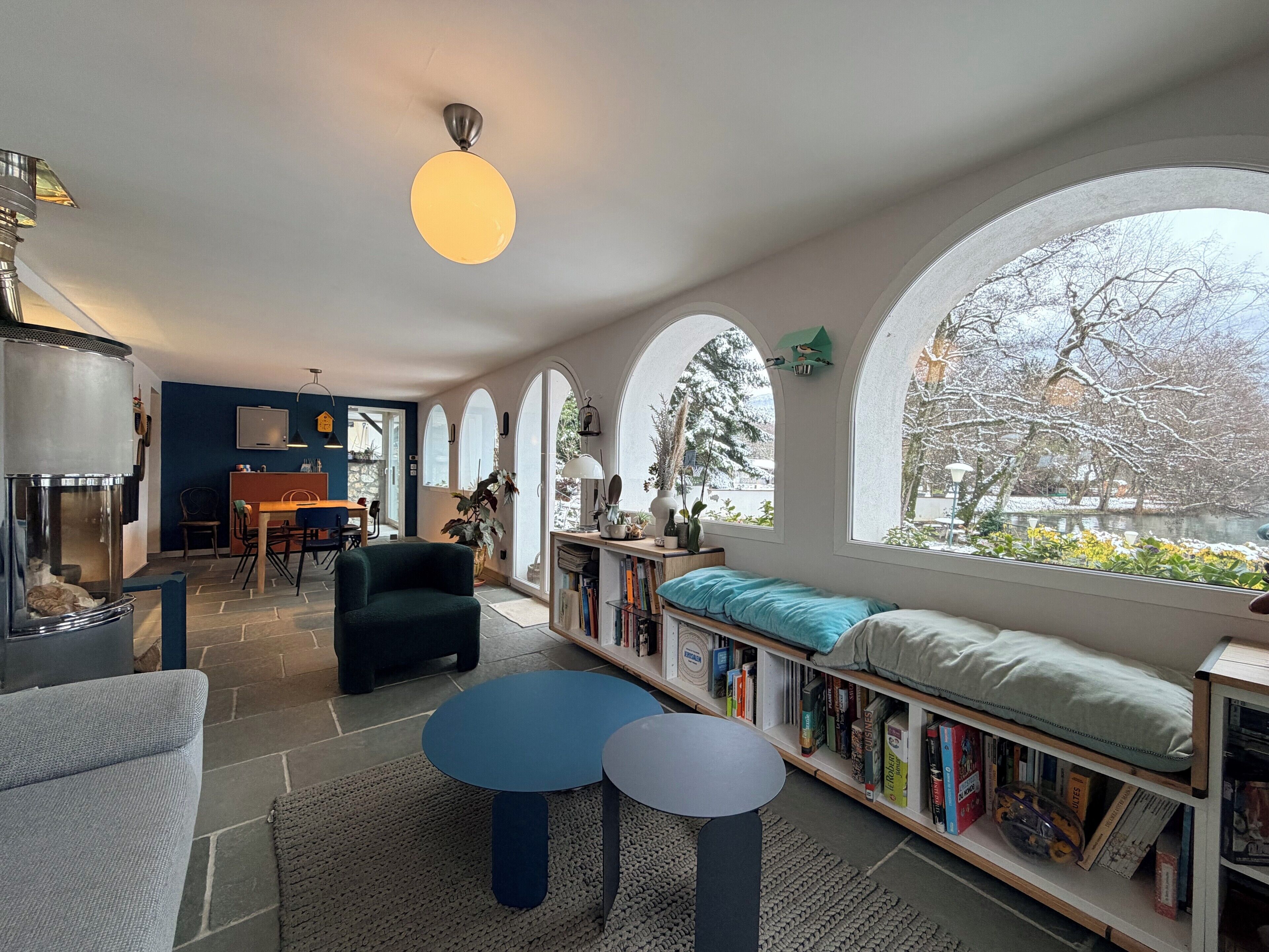 Televisión, chimenea y libros 