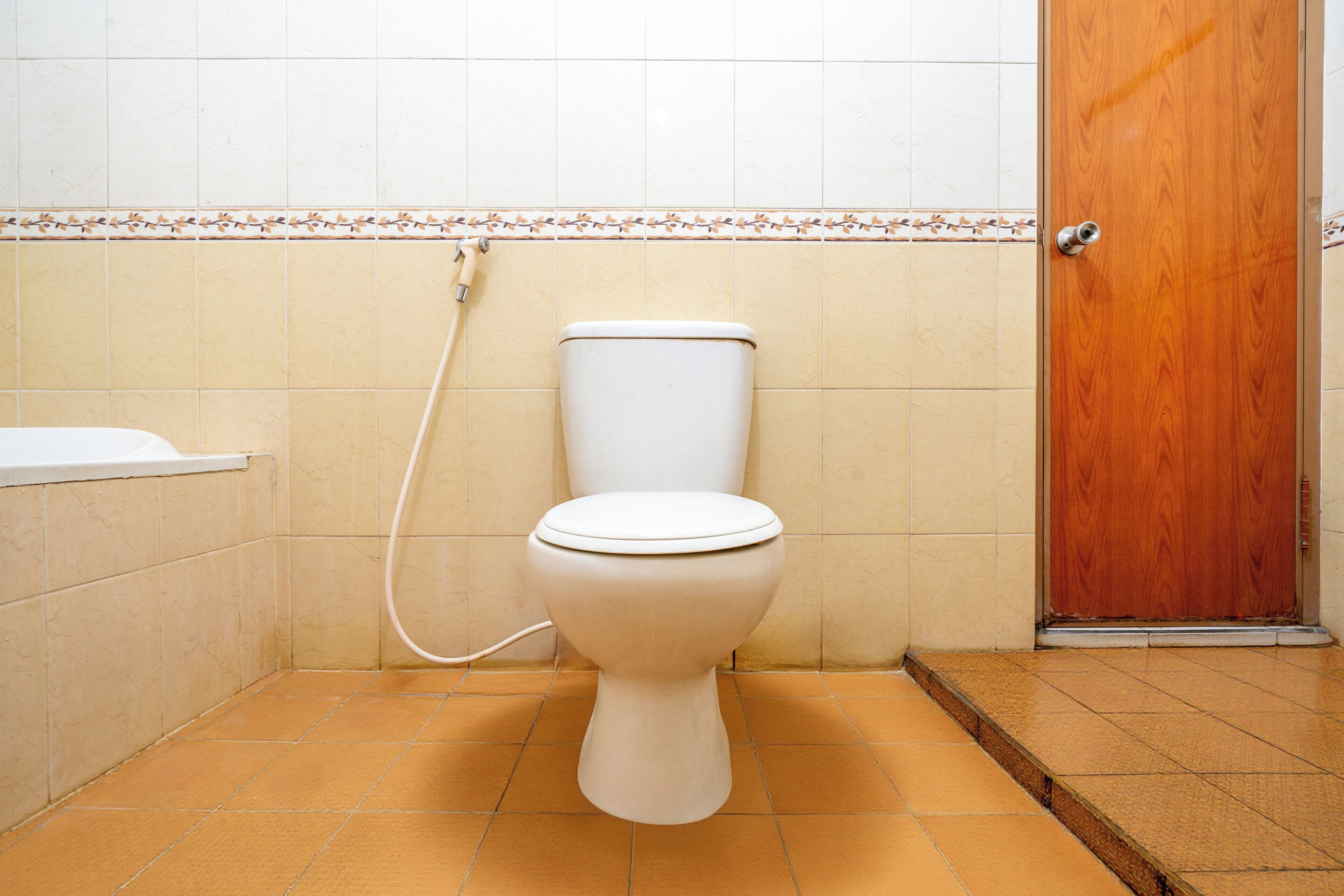 A standard bathroom with a toilet, a shower, and a wooden door.