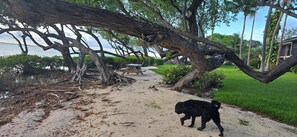 Property grounds - #Sunsets#Sunsets#Sunsets -- stunning Florida bay views from your living room. ! (Key Largo)