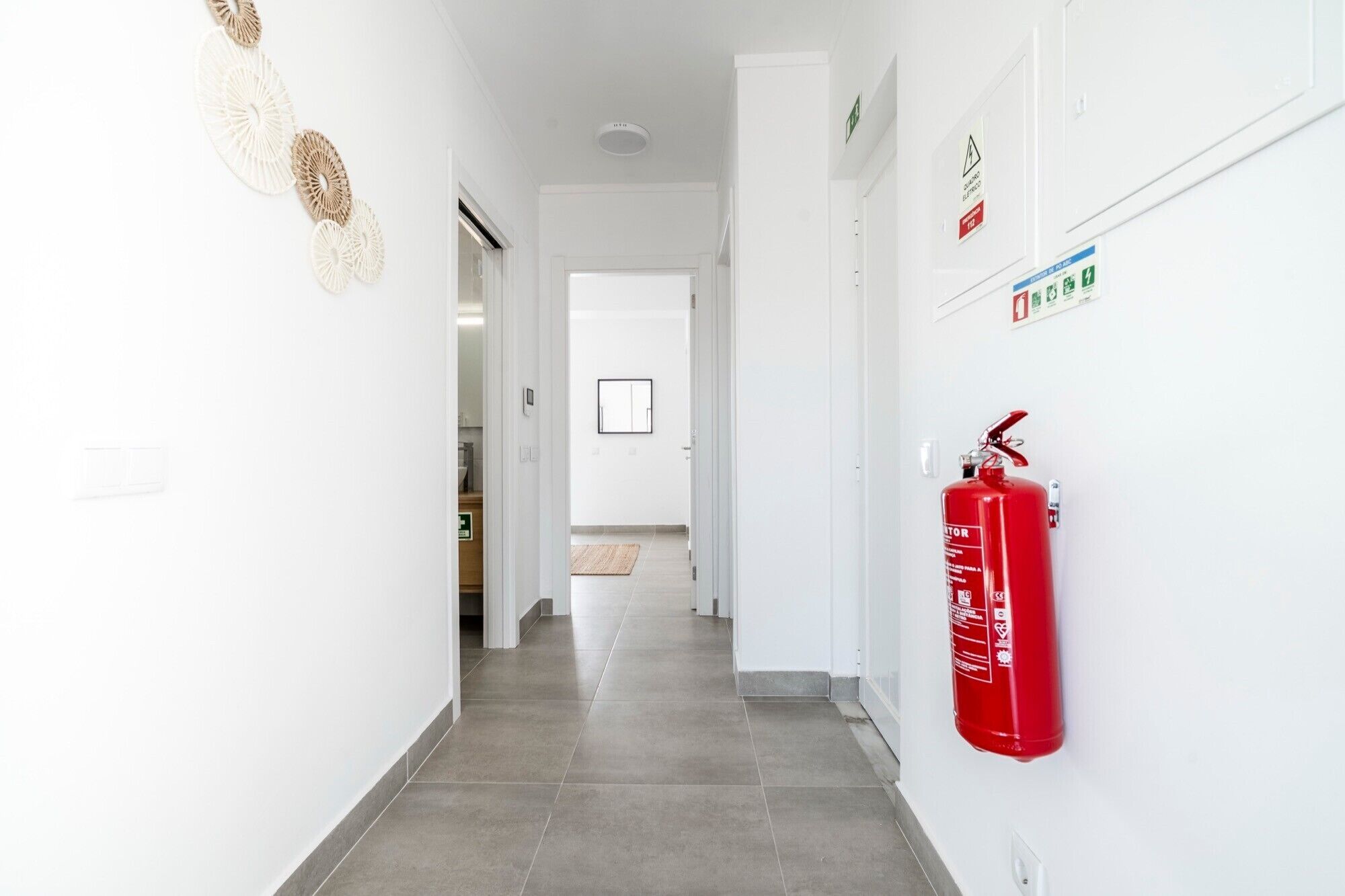 Un couloir avec un extincteur fixé au mur, un tableau encadré sur la porte et un élément décoratif texturé sur le mur.