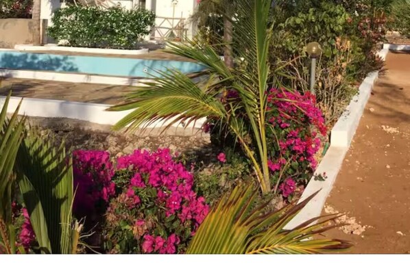 المنطقة المحيطة بالمنشأة