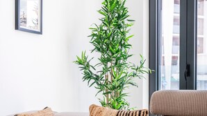A modern living room with a sectional sofa, a potted plant, a framed picture on the wall, and a window with a view of buildings. - Portimao riverview T2 luxe 1st floor with Balcony, Wi-Fi and Air Conditioning (Portimão)