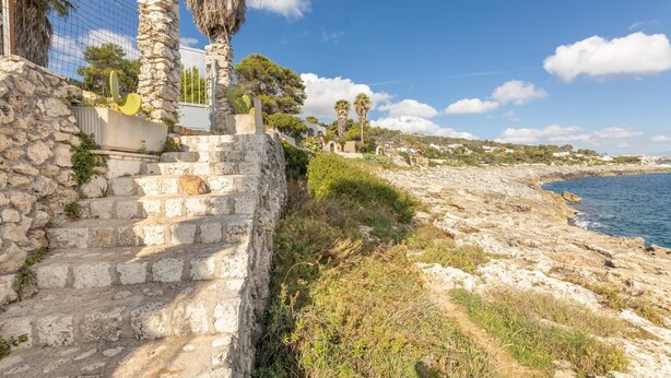 Un escalier en pierre, situé sur la côte, descend vers une plage, offrant une vue dégagée sur la mer et quelques palmiers en arrière-plan.