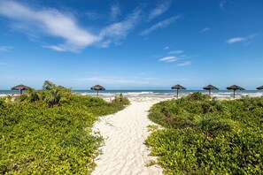 Apartment | 2 bedrooms - Apto P na Areia em Ilh us - Cond Praia da P Rola (Ilhéus)