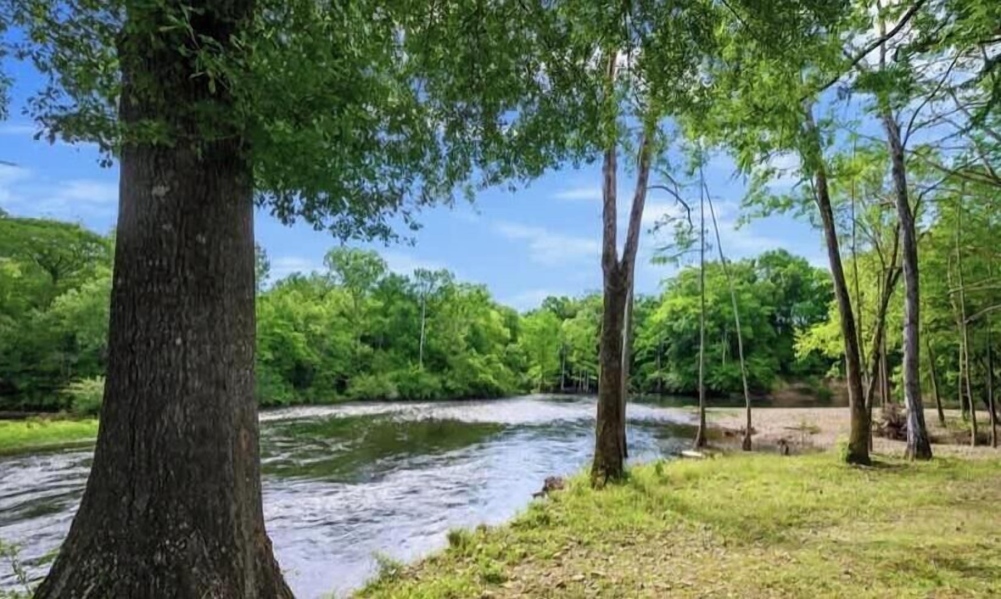 A river flowing through a forested area with trees and greenery.