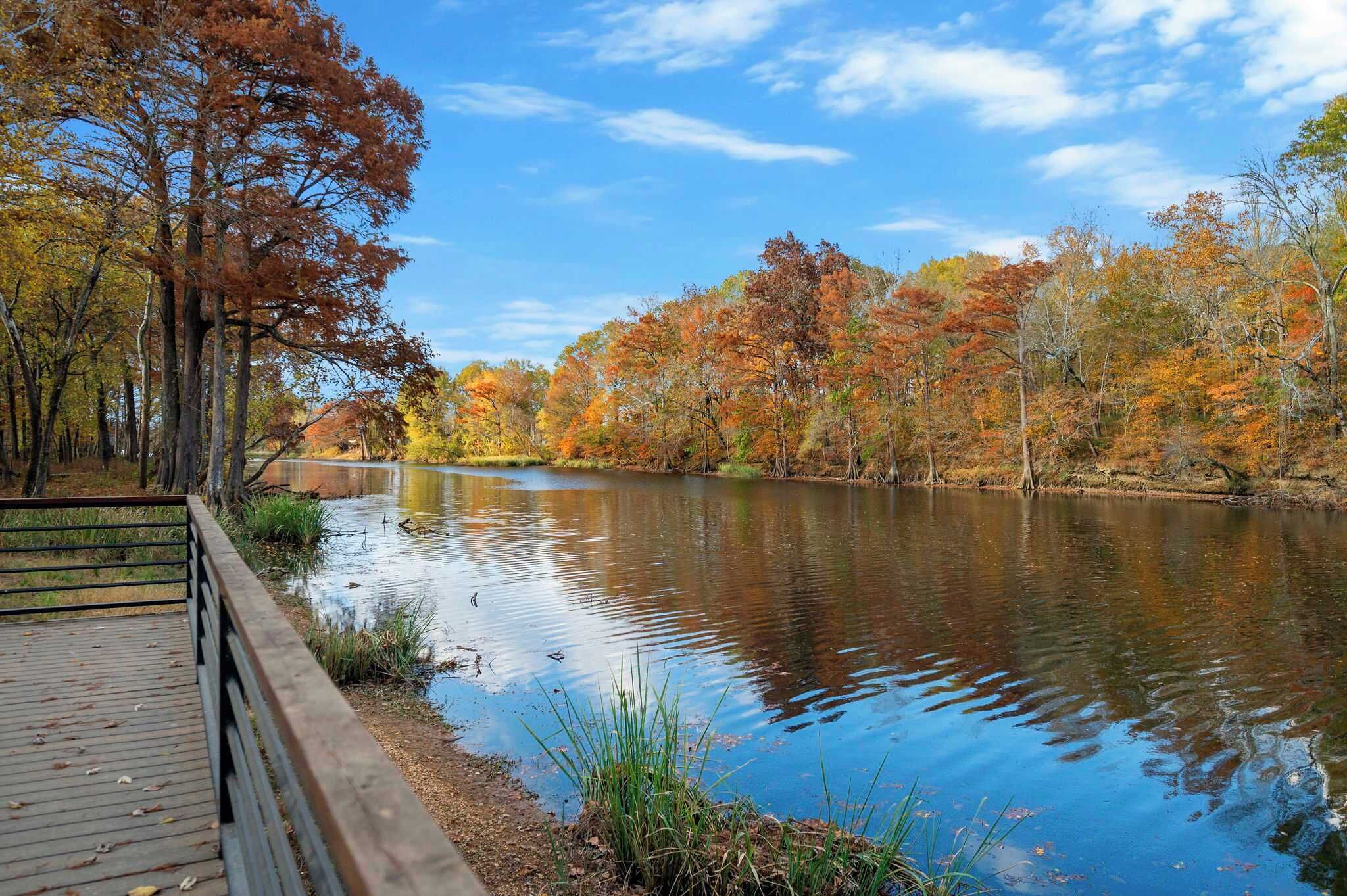 A wooden boardwalk beside a calm river with autumn foliage.