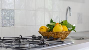 Fridge, stovetop, coffee/tea maker, electric kettle