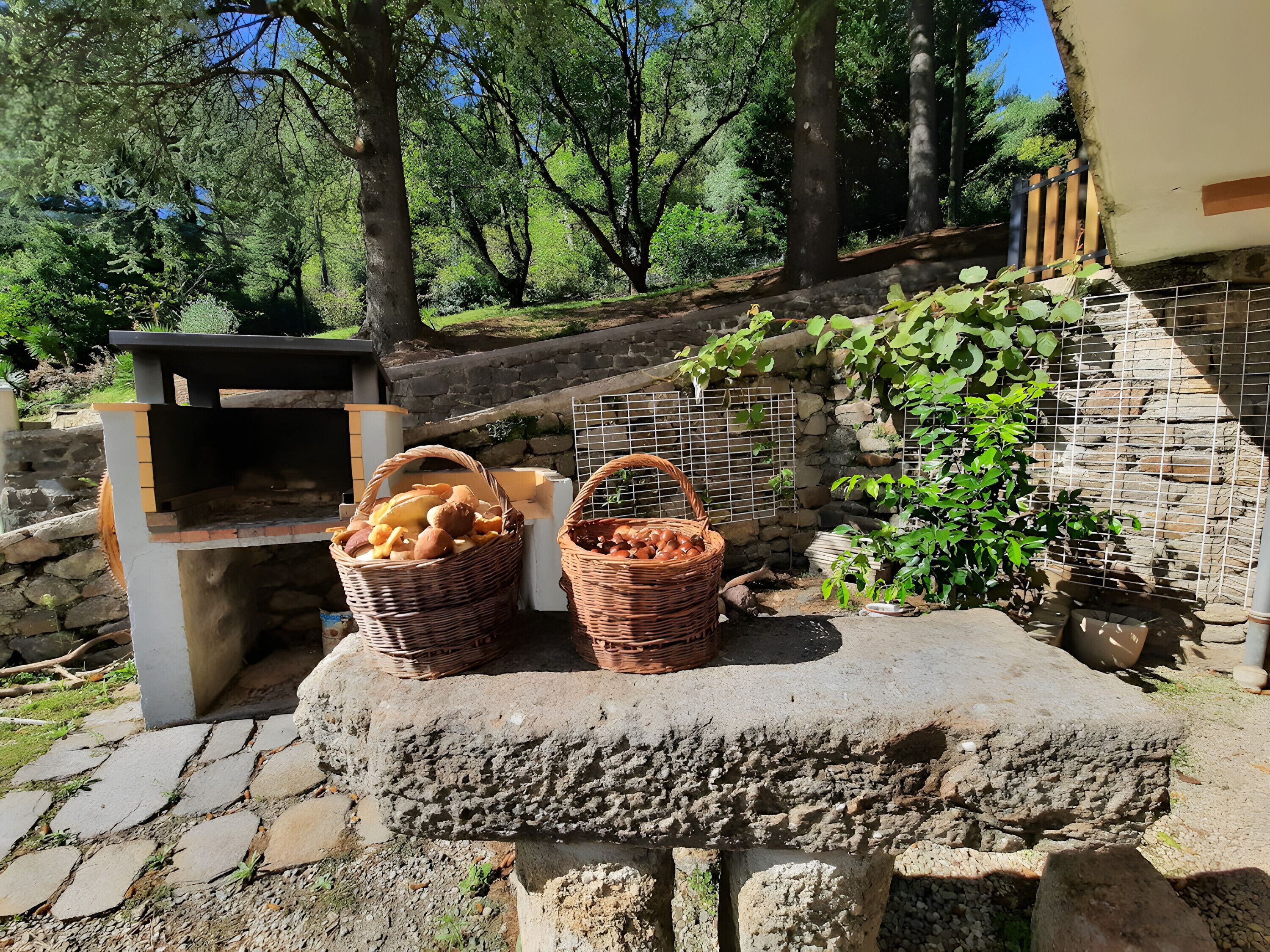 Terrein van de accommodatie