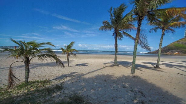 A beach with palm trees and a clear sky. - Apto com Garagem e Ar-condicionado a 600m da Praia (Guarujá)