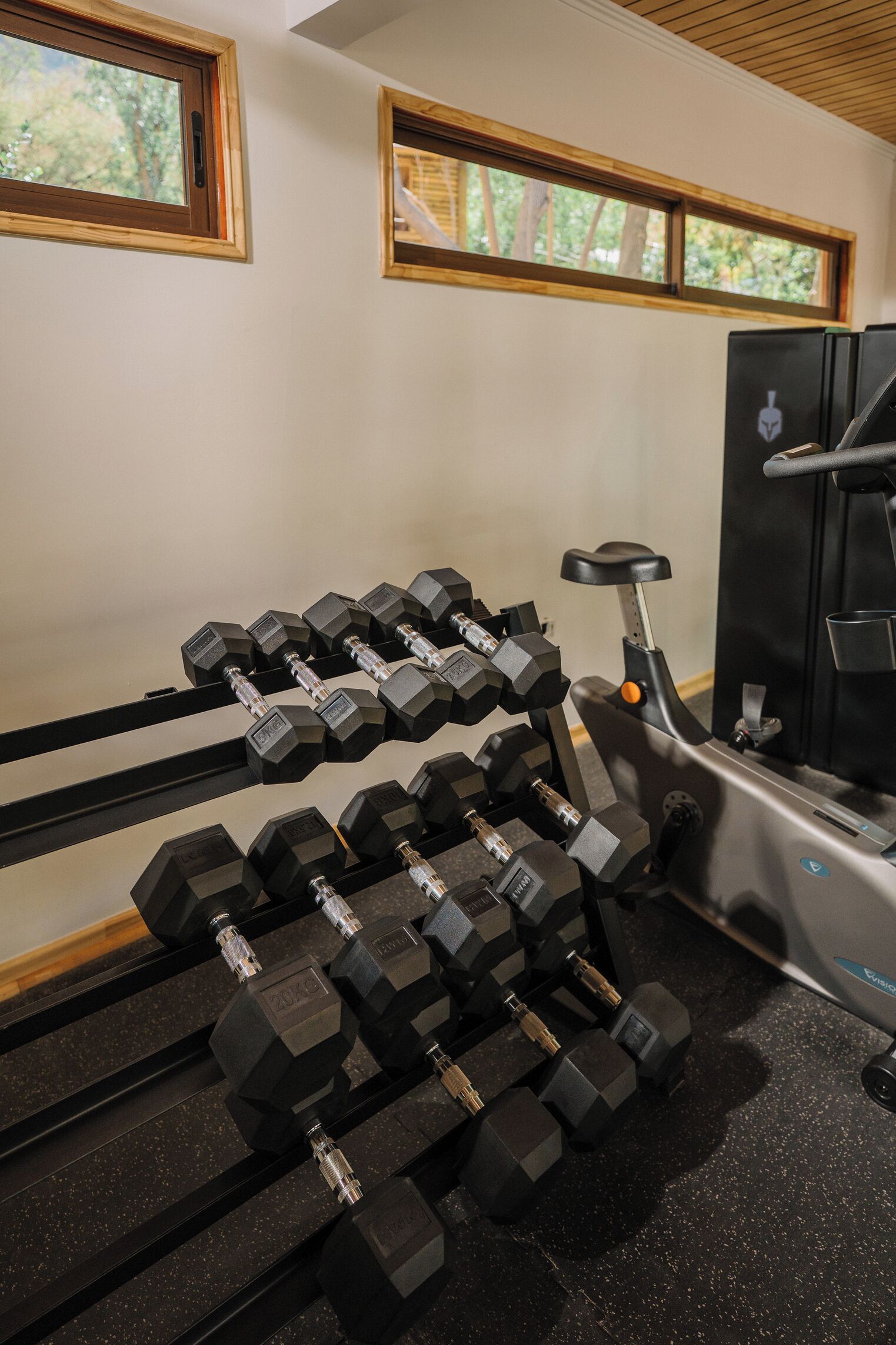 Un gimnasio con varios bancos de pesas, una bicicleta estática y dos ventanas que dan a vistas de árboles.