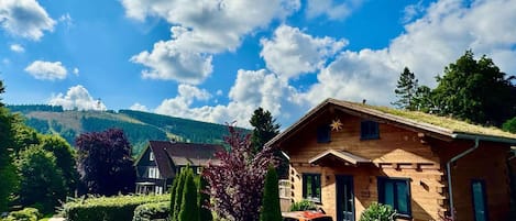 單棟房屋 | 外觀