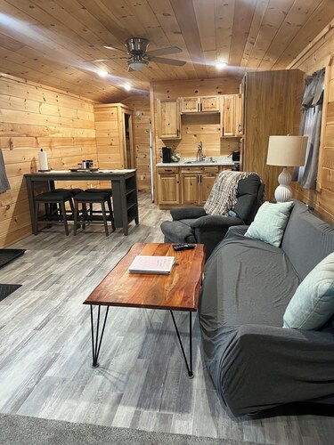 Unit #4 Cozy 1-bedroom cabin in lovely Brushton with AC and heat