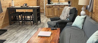 Unit #4 Cozy 1-bedroom cabin in lovely Brushton with AC and heat