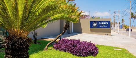 A hotel entrance with a palm tree and purple foliage, a clear sky, and a sign for Sirius Beach Hotel.