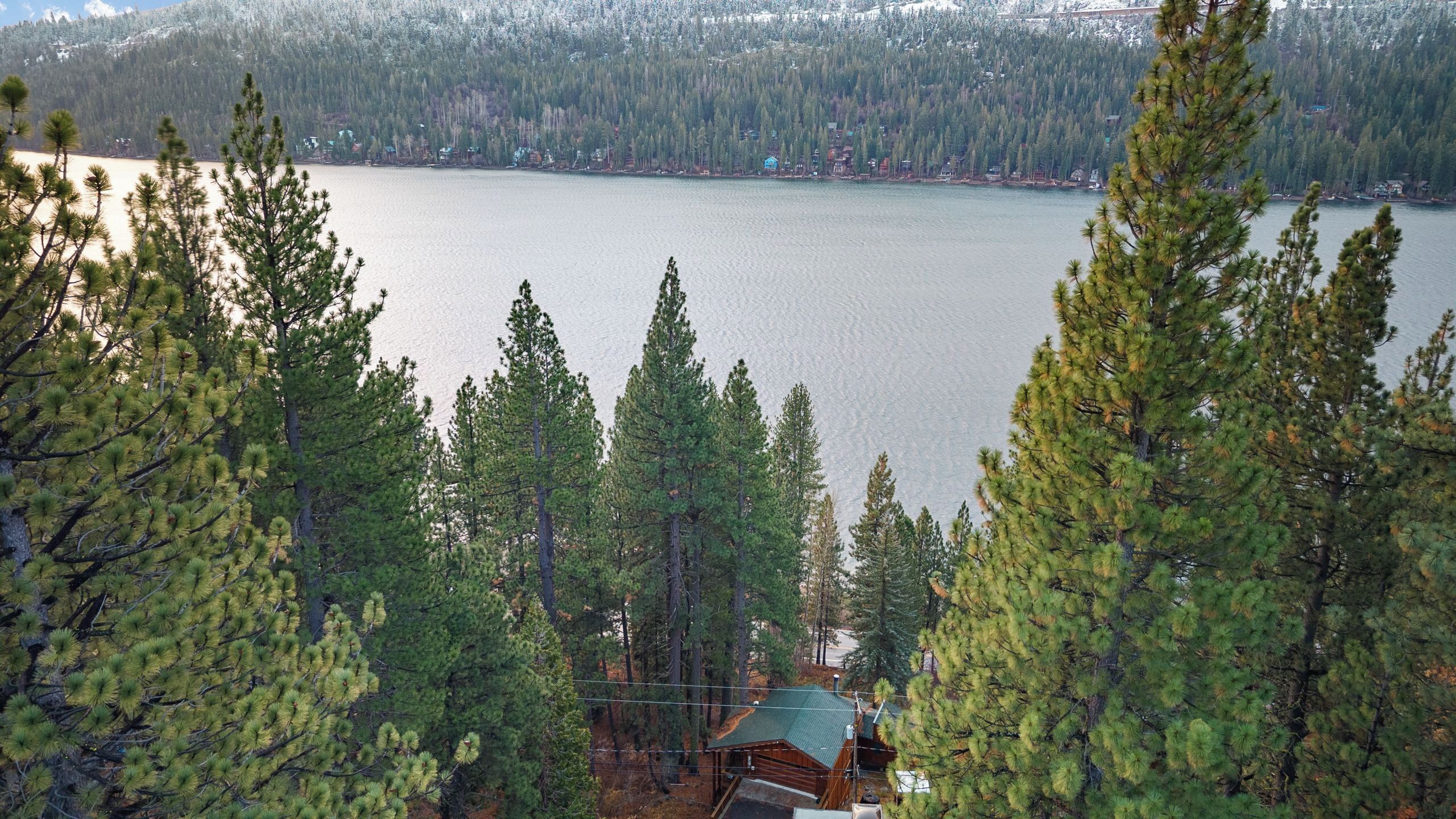 A cabin surrounded by tall pine trees, overlooking a calm lake with a forested backdrop.