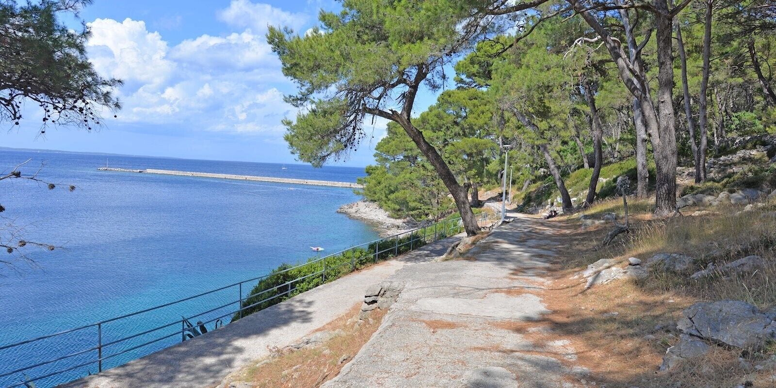 A coastal path with a railing, trees, and a clear view of the sea.