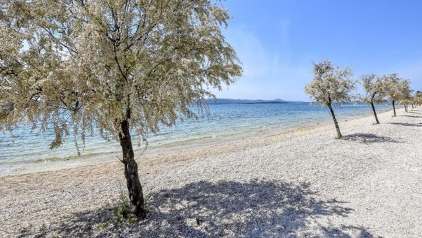 En strand med träd och fri utsikt över havet.