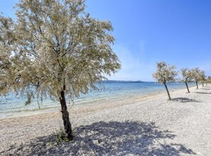 Ein Strand mit Bäumen und freiem Blick auf das Meer.