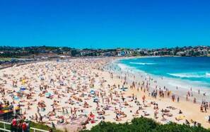 Beach - Sea Breeze Bondi (Bondi)