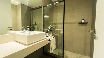Shower, hair dryer, bidet, towels