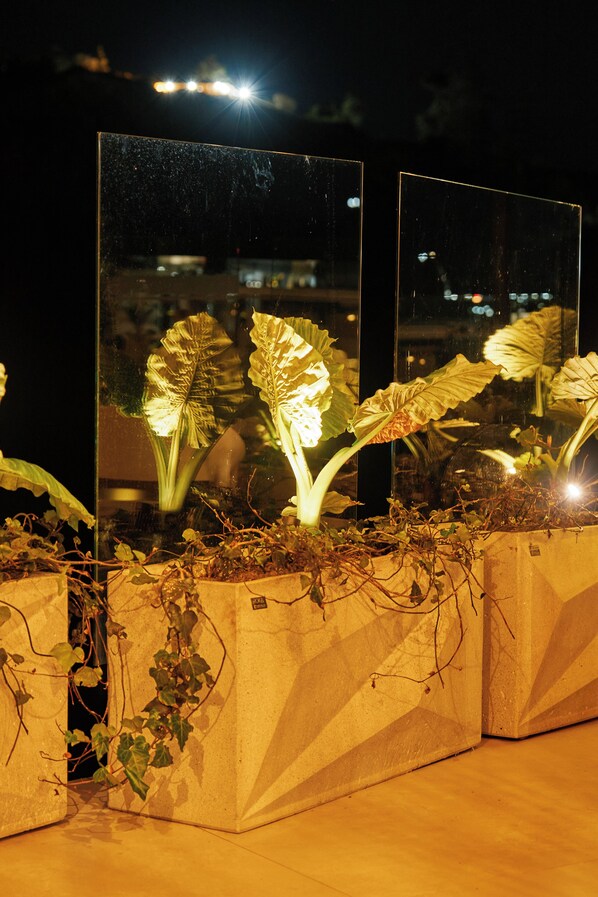 A night scene with illuminated plants in geometric planters. - Roka Hotel (El Peñol)