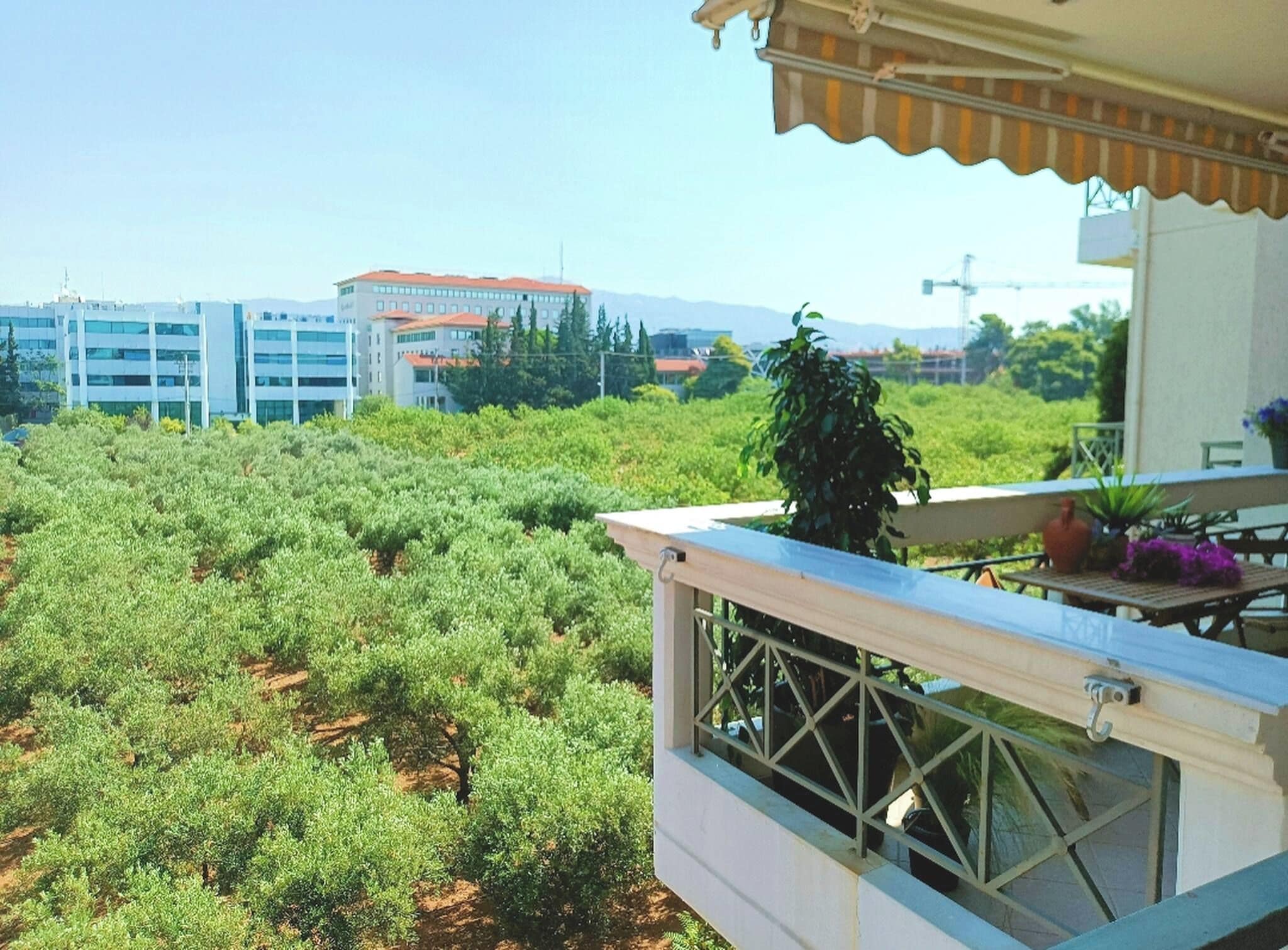 Balcon
