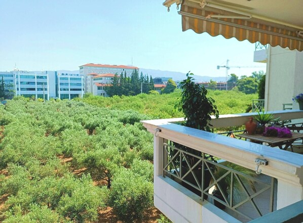 Apartment, 1 Schlafzimmer, barrierefrei, Balkon | Balkon