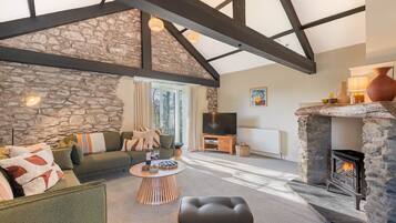 TV, fireplace